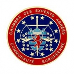 Logo Cabinet d'Expertise en Pathologie du bois