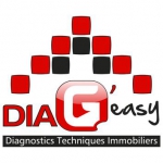 Logo DIAG'EASY