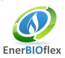 Logo Enerbioflex