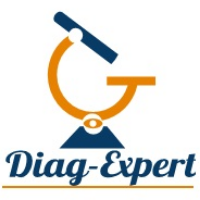 DIAG-EXPERT Étude thermique sur Isle-d'Espagnac