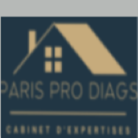 Logo PARIS PRO DIAGS